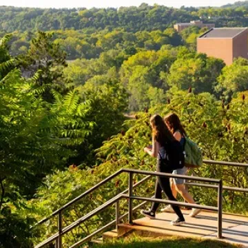 students at top of stairs headed to lower campus, lush green summer 